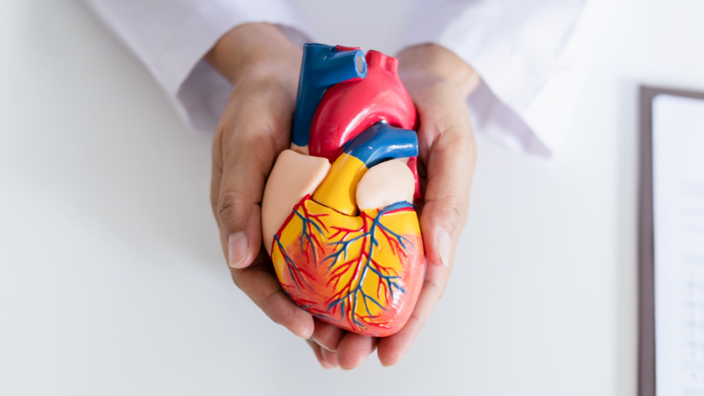 Dr Lester Sulet Cardiologista em Barbacena Cardiologia em Barbacena Cardiologista